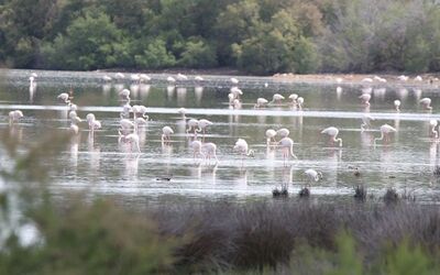 Laguna del Prado