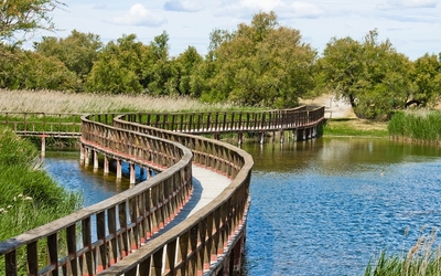 Parque Nacional de las Tablas de Daimiel