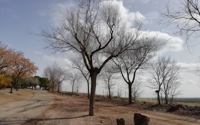 Parque Forestal de San Isidro