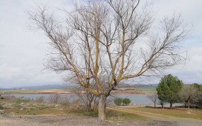 Cerro de los Palos