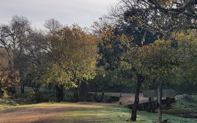 Barranco de la Madera