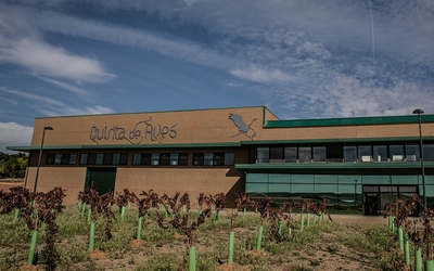 Bodegas Quinta de Aves