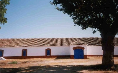 Bodegas Isla