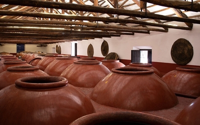 Bodegas Romero de Ávila Salcedo