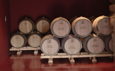 Bodegas Vidal del Saz