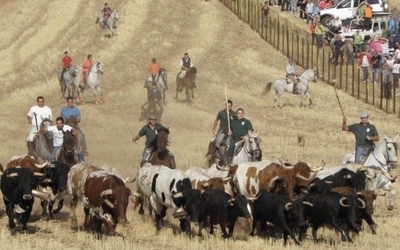 Fiestas y Encierros de S. Miguel Arcángel