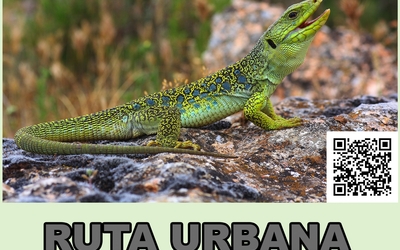 Ruta Urbana de la Naturaleza