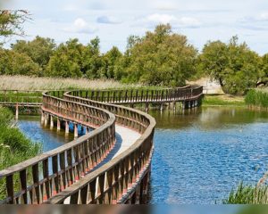 paseo por parques daimiel